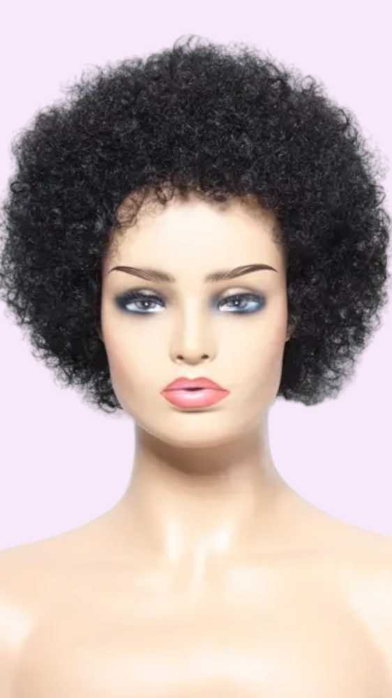 Afro Human Hair Wig