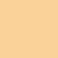 #1/copper/blonde