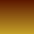 #33/gold