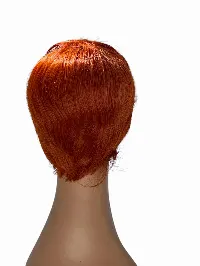 Short Human Hair Wig